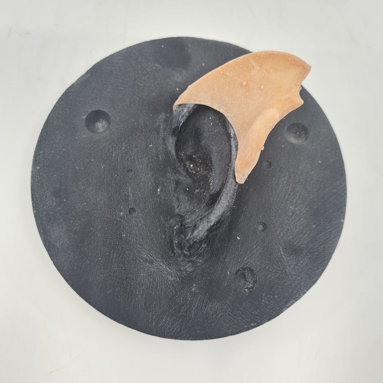 GOBLIN EARTIPS GOBLIN EARTIPS