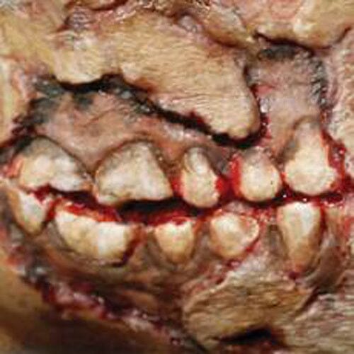 Zombie Cheek Decay 3D FX Transfers Zombie Cheek Decay 3D FX Transfers