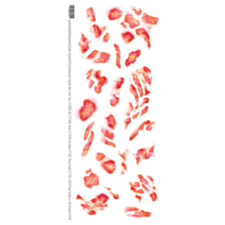 Temporary Tattoos- Torched